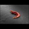 Gambas cuite